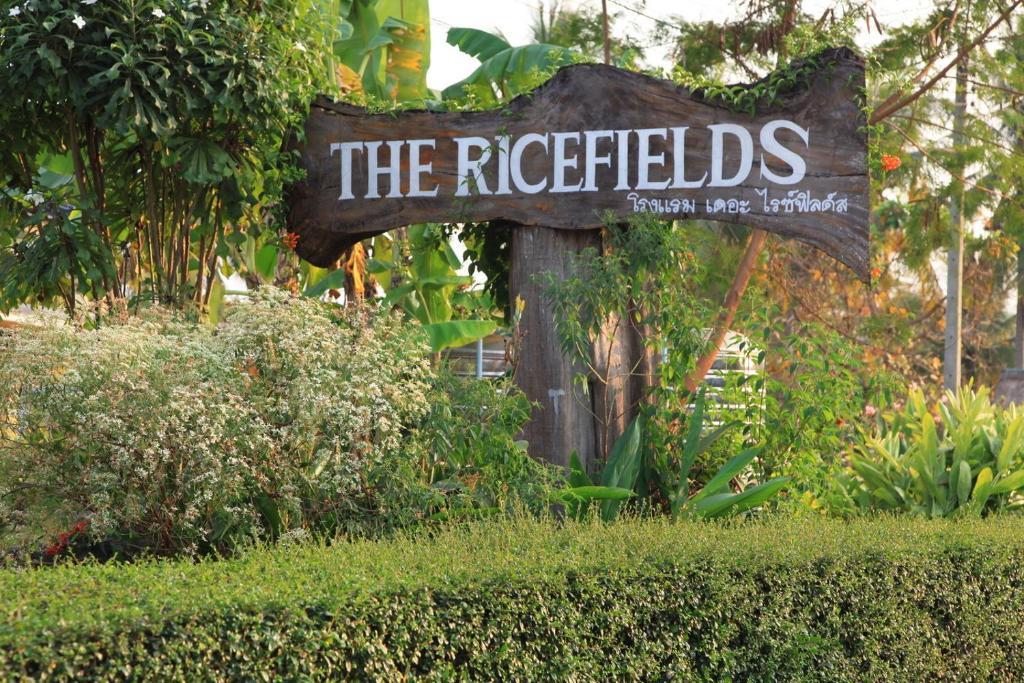 The Ricefields Hotel 乌隆他尼 外观 照片